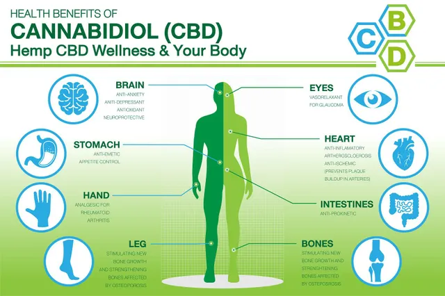 health benefits of CBD Hemp CBD wellness and your body