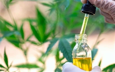9 beneficis per a la salut de l'oli de CBD i efectes secundaris