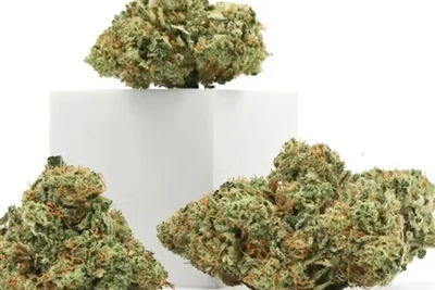 Per què el CBD és el millor bàlsam labial natural